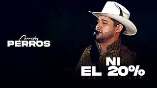 Raúl Beltrán - Ni El 20% (Corridos 2026)