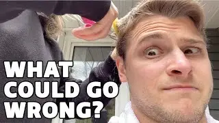 Girlfriend Cuts Boyfriend's Hair in Quarantine