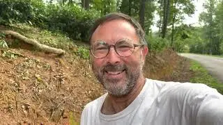 Roundup glyphosate on tea plants - an honest experiment