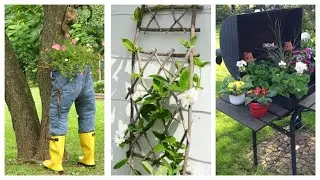 Marie's home garden, How to grow garden cress at home 🏡,benefits of organic gardening home