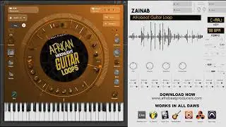 FREE DOWNLOAD African Moonlight Guitar Loop No Drums 100% Royalty Free | Guitar Sample | 