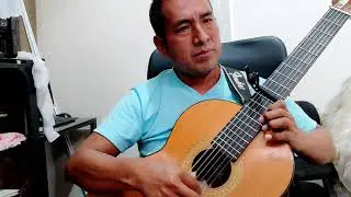 jilguero del huascaran, Cover, Mi  pensamiento