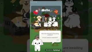 My Hello pet 😅( My first reaction  was um...Awkward kinda...)