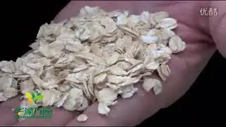 Oat Flakes Making Machine Oat Roller Machine