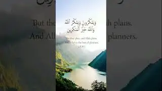 I Trust Allah's Plan is the Best for Me - Inspiring Short Clip #allah #quran #quotes #quranquotes