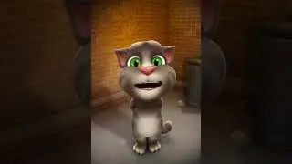 Tttr