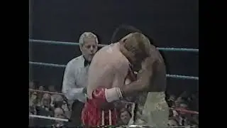 Donald Curry vs Colin Jones