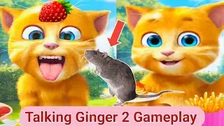 Talking Ginger 2 🍓🍓🍓 Gameplay | talking ginger game | ginger gameplay |