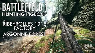 Battlefield 1 - Argonne Forest hunting pigeons with the Ribeyrolles Factory