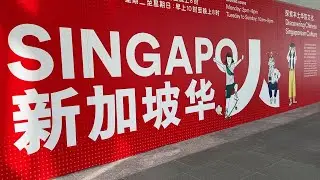 Singapore Chinese Culture Centre 新加坡华族文化中心#singapore #新加坡 #chinese #华文 #tourism #旅游