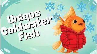 ❄️ Best Weird Coldwater Fish Species for Your Aquarium! 🐟 No Heater Needed!