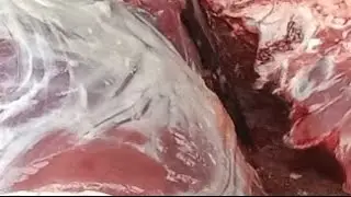 Beef neck,  sina meat cutting skills#beef #meat # cutting#video