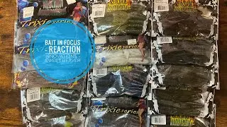 Bait In Focus - Reaction Innovations - Sweet Beaver