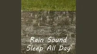 Wonderment White Noise Rain