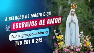 Qual a Relção dos Escravos de Amor e Maria | Curso de Consagração a Maria | TVD 201 a 212