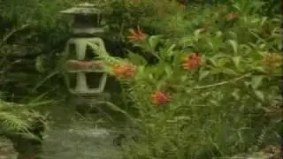 Morikami Museum & Japanese Gardens on WLRN