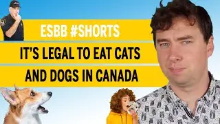 It&rsquo;s legal to eat cats and dogs in Canada | ESBB #shorts