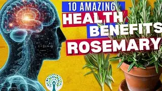 ROSEMARY The Secret to Boosting Your Health in 30 Days!