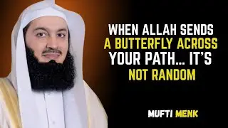 WHEN ALLAH SENDS A BUTTERFLY ACROSS YOUR PATH&hellip; IT&rsquo;S NOT RANDOM | Mufti Menk Motivational Reminder