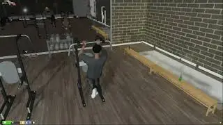 Bodystats Script by Project FiveM