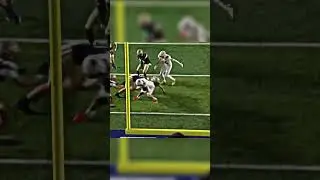 FCS CHAMPIONSHIP WAS CINEMA 🎦 #shorts #fyp #explore #cfb #fcs #espn