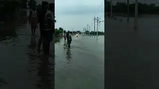 vrindavan latest flood news || devrah baba || Vrindavan flood news #vrindavan