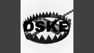 DSKE
