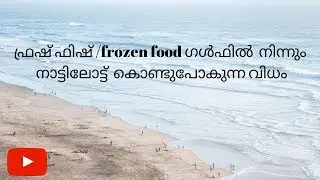 ഫ്രഷ് ഫിഷ് /frozen food ഗൾഫിൽ  നിന്നും  നാട്ടിലോട്ട്  കൊണ്ടുപോകുന്ന വിധം / How To Pack And Ship Fish