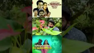 Каламожи Кааттунарум | Поздравляем мисс Аниту Менон (1992) | КАВЕР-ПЕСНЯ | ВИДЕО ПЕСНЯ