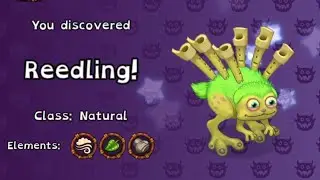 MSM Reedling My Singing Monsters Earth Island discovery hatching animation and Song