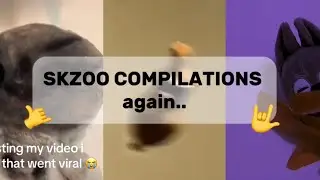 BACK WITH A SKZOO TIKTOK COMPILATION (part 12? I guess?)