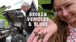 We Broke The Crane Truck & Ute! Plus Sooooo Many Slugs