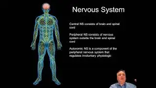How Neurotechnology Can Help Manage ADHD