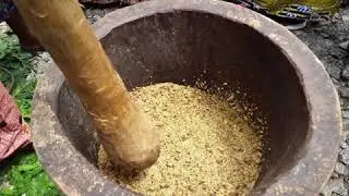 How to produce neem oil locally by extracting it from neem tree fruit?