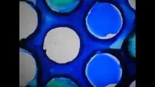 Grid (excerpt)