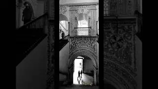 NUMA EL FOT&Oacute;GRAFO DE LA VIDA: SANTO DOMINGO