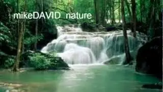 mikeDAVID nature    trancemix