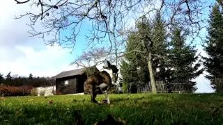 Ignac 1rok - one yer old