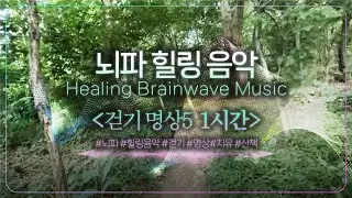 Healing Brainwave Music 🏃&zwj;♀️Beta Waves14~30Hz🏃&zwj;♀️ 1시간만 들으면 발걸음이 가벼워요~@)걷기 명상5 @ #뇌파 #힐링 #걷기 #명상 #치유