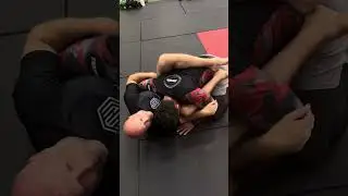 Punch Block Series Phase 1 & 2