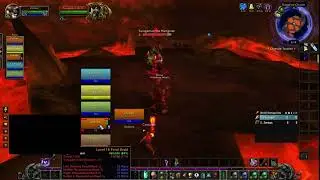 Healbot Healer - Classic Hardcore World of Warcraft