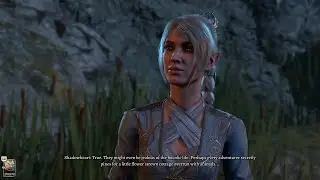 Baldur's Gate 3: Shadowheart Romance Epilogue Scene (Parents Alive Ver.)