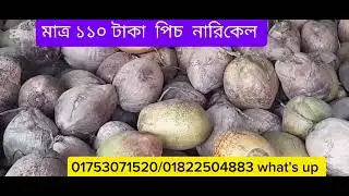 নারিকেল  মানেই শীতের পিঠার আমেজে মুখরিত  হওয়া।