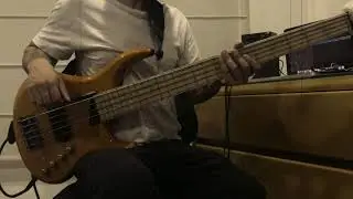 Karnivool - Fear of The Sky Bass Cover