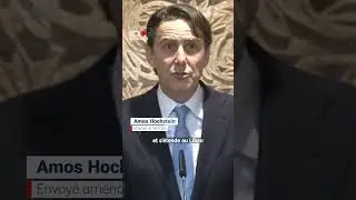 Hochstein insiste sur l&rsquo;application de la r&eacute;solution 1701