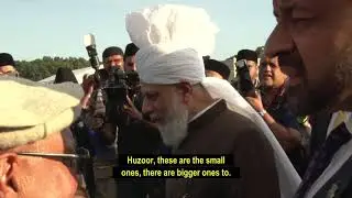 Inspection - Jalsa Salana UK 2019