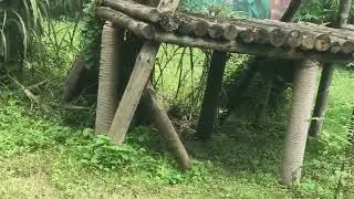 Leopard spotted at the Jungle Safari at Statue Of Unity complex at Kewadia in Narmada district
