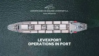 Levexport operations in port #distributor #Ecuador #bananas  #banana
