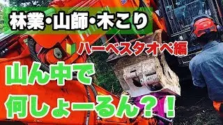 【林業】山の中での仕事って意外と皆さん知りませんよね？【高性能林業機械】