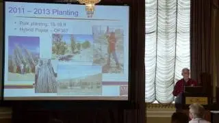 Mick O'Neil - Poplar Phytoremediation Study at an Abandoned Oil Refinery Site